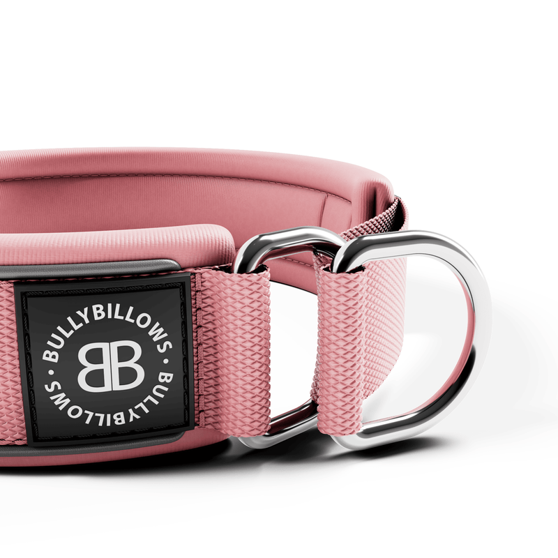 4cm Slip on Collar | Foam Padded - Pink – BullyBillows