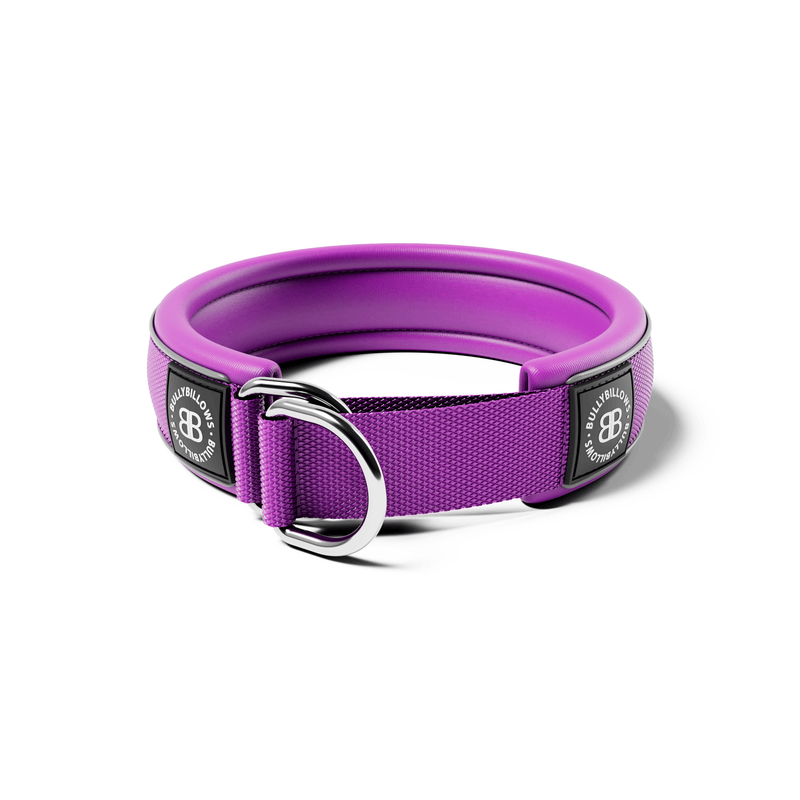4cm Slip on Collar | Foam Padded - Purple