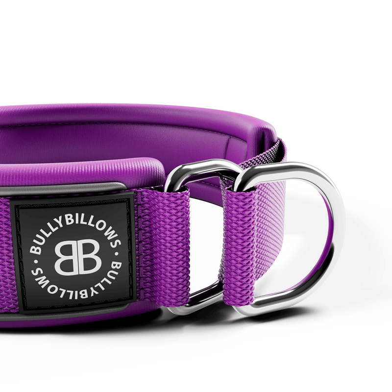 5cm Slip on Collar | Foam Padded - Purple
