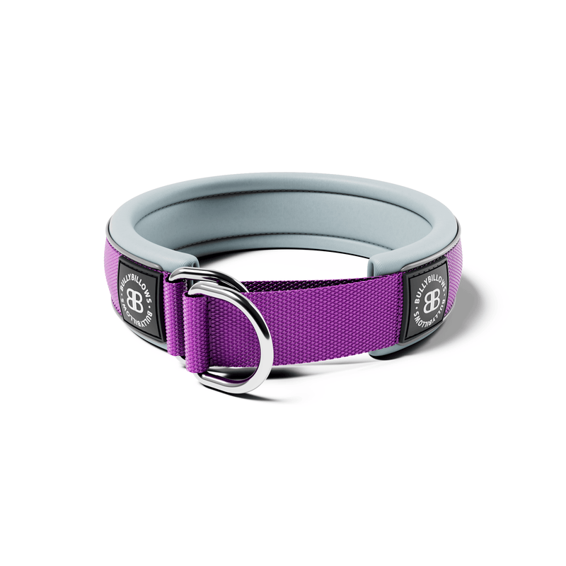 4cm Slip on Collar | Foam Padded - Purple x Metal Grey