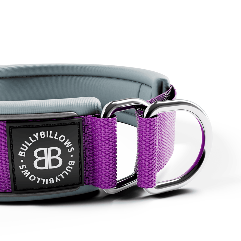 5cm Slip on Collar | Foam Padded - Purple x Metal Grey