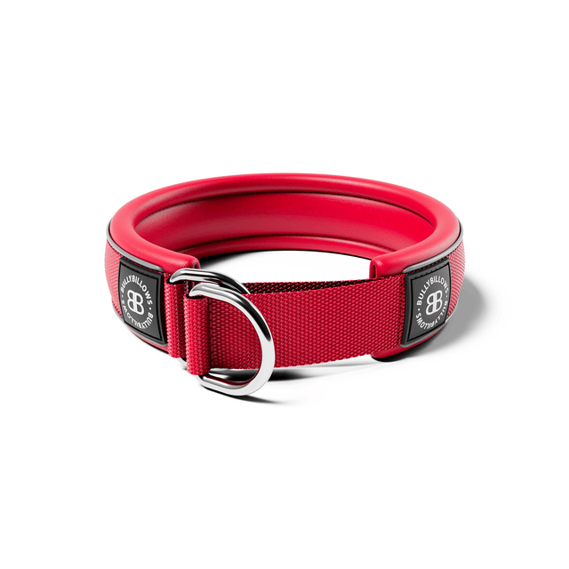 4cm Slip on Collar | Foam Padded - Red