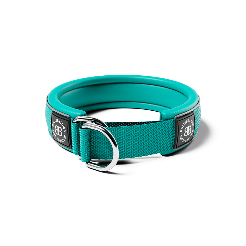 4cm Slip on Collar | Foam Padded - Turquoise