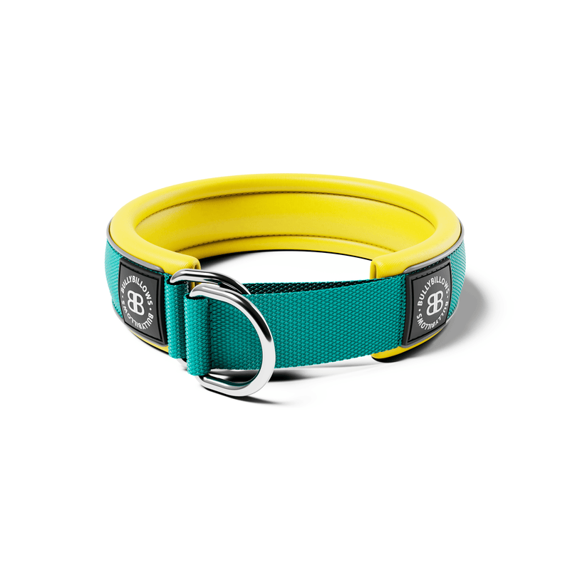 4cm Slip on Collar | Foam Padded - Turquoise x Yellow