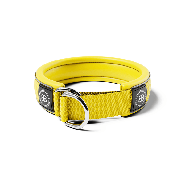 4cm Slip on Collar | Foam Padded - Yellow