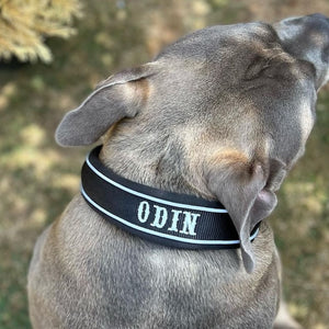 Black collar with white text in saloon font