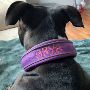 Purple collar with nebula pink text in hobo font