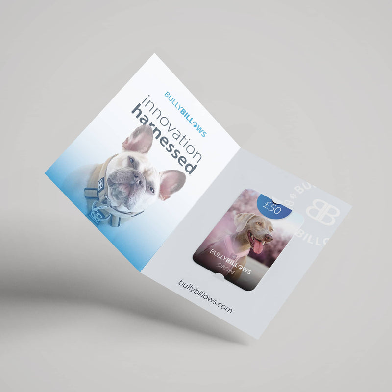 E-Gift Cards