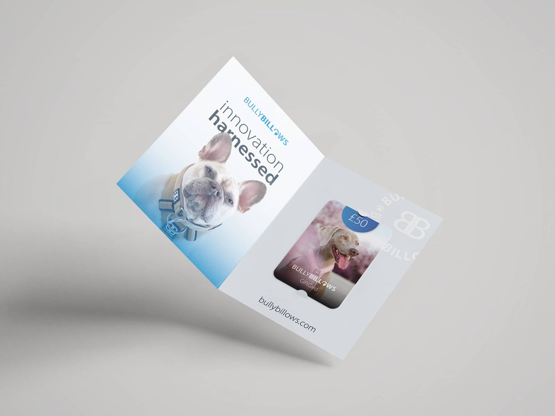 featured image of E-Gift Cards