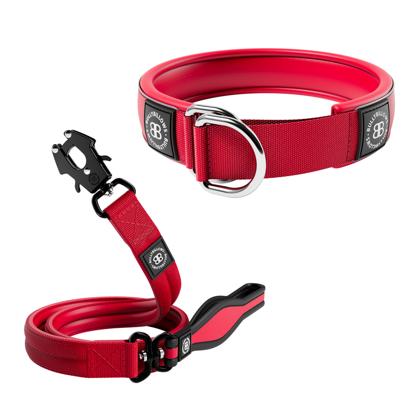 5cm Slip-on Collar & Mini Combat Lead Bundle – Red