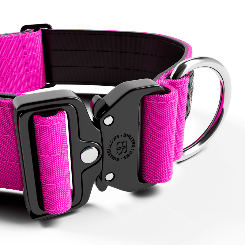 5cm Combat® Collar | NO Handle & Secure Clip - Magenta