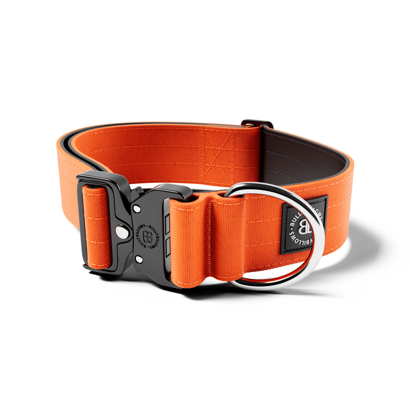 5cm Combat® Collar | NO Handle & Secure Clip - Orange