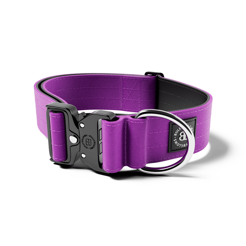 5cm Combat® Collar | NO Handle & Secure Clip - Purple