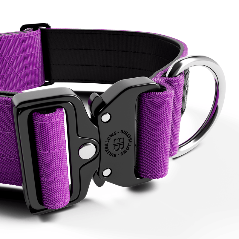 5cm Combat® Collar | NO Handle & Secure Clip - Purple