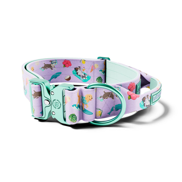 5cm Lighter Combat® Collar | With Handle & Secure Clip - BalmyBillows Purple
