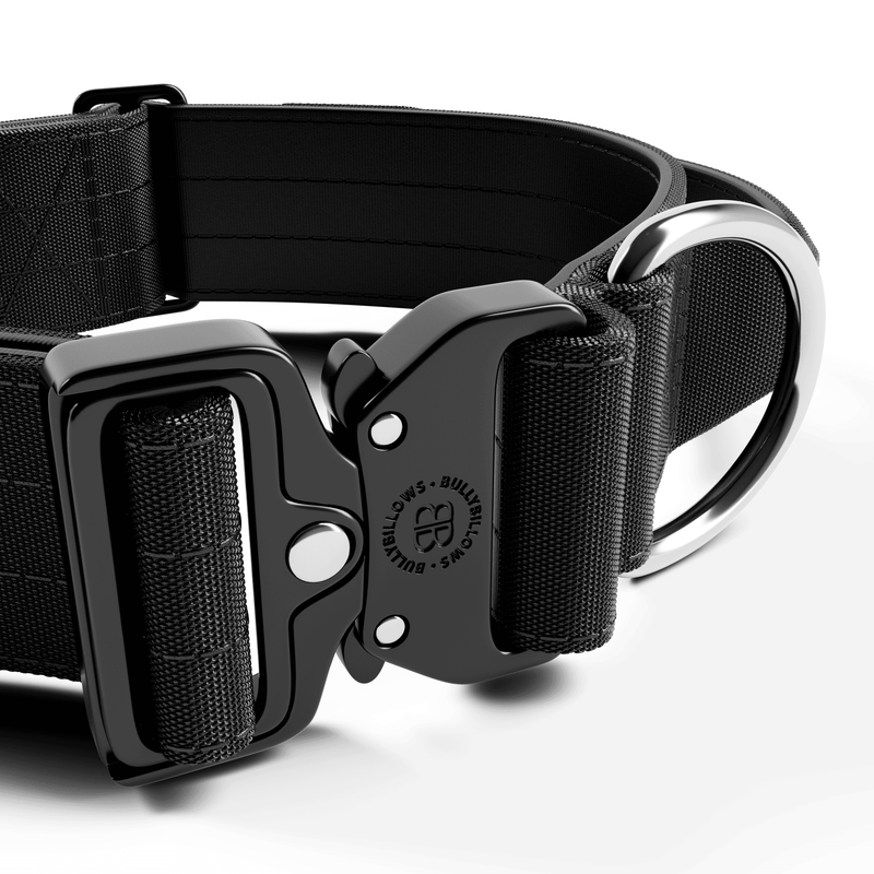 Dog Bone Black/Silver Seatbelt Buckle Collar - Philippines Flags Dog Bone Black/Silver Seatbelt Buckle Collar - Philippines Flags