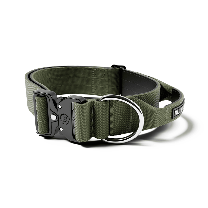 5cm Combat® Collar | With Handle & Secure Clip - Khaki