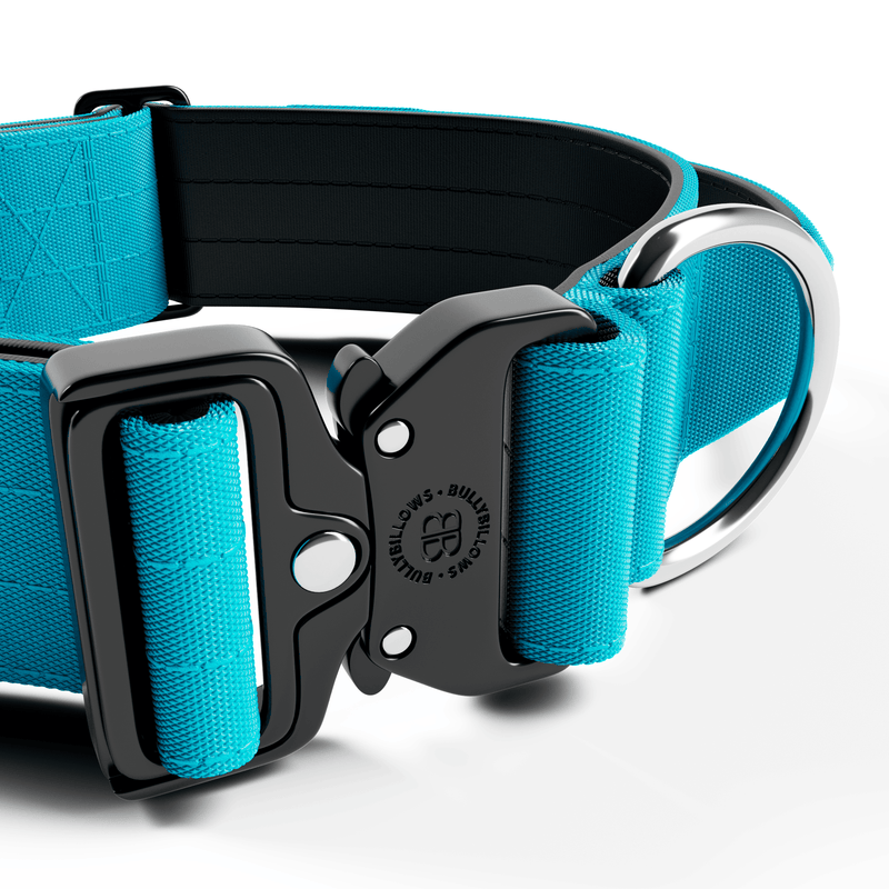 5cm Combat® Collar | With Handle & Secure Clip - Light Blue