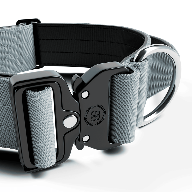5cm Combat® Collar | With Handle & Secure Clip - Metal Grey