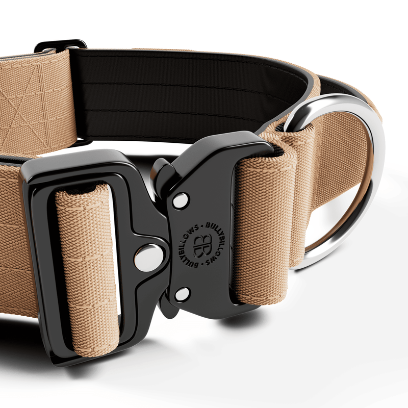 5cm Combat® Collar | With Handle & Secure Clip - Tan