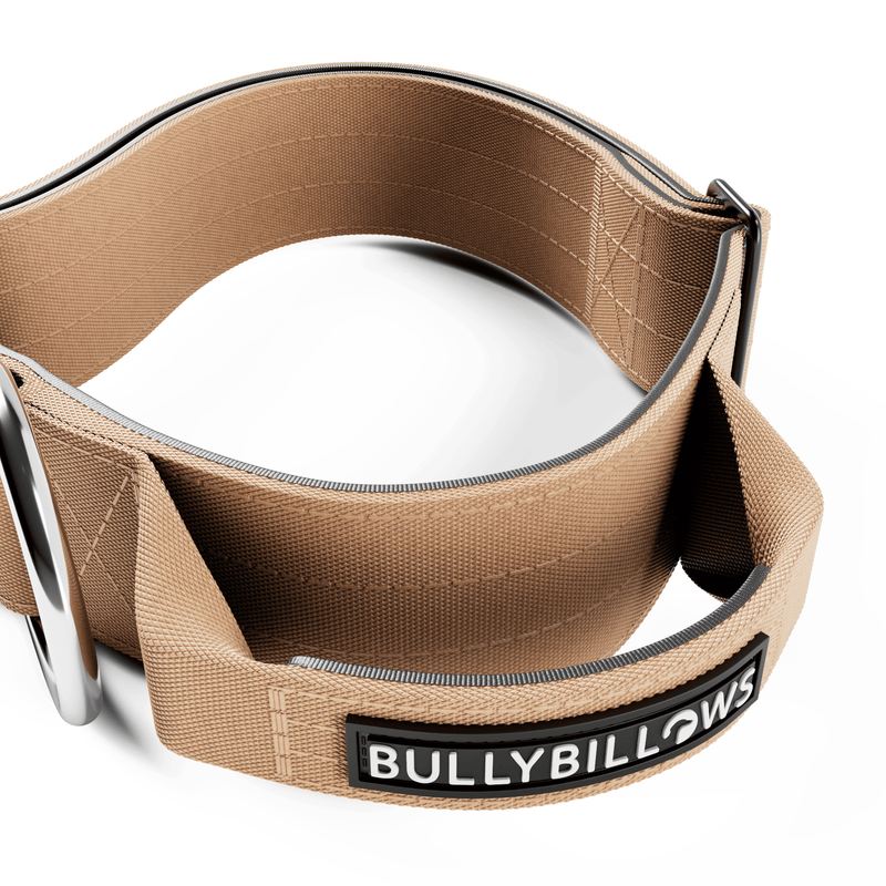 5cm Combat® Collar | With Handle & Secure Clip - Tan
