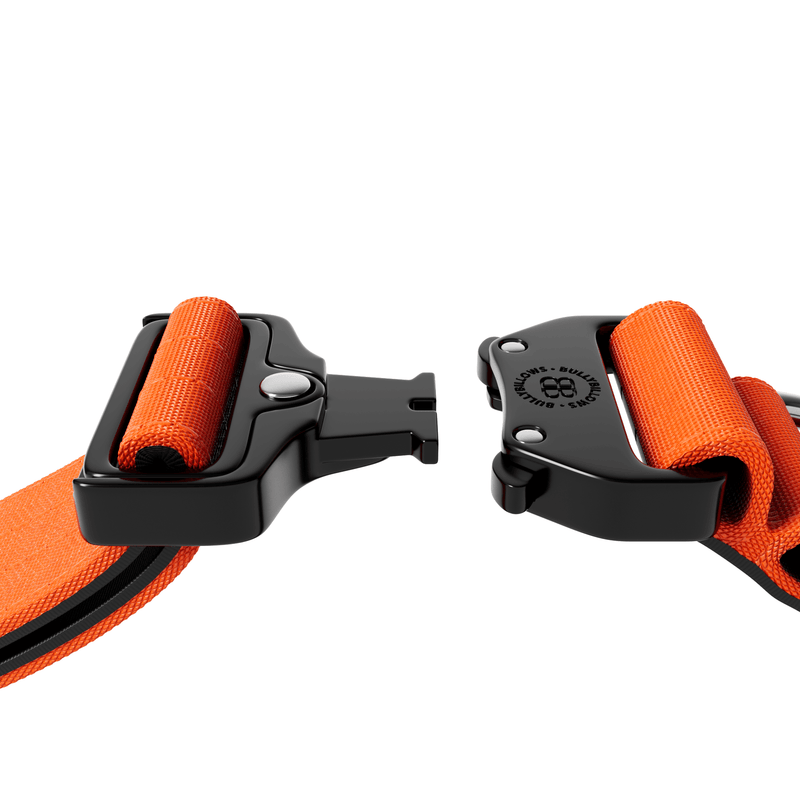 4cm Combat® Collar | Rated Clip - NO HANDLE - Orange