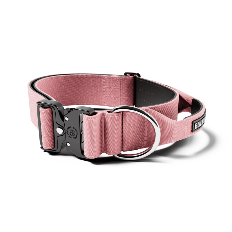 5cm Combat® Collar | With Handle & Secure Clip - Pink