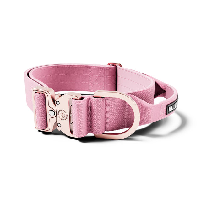 5cm Lighter Combat® Collar | With Handle Secure Clip - Pink x Pink