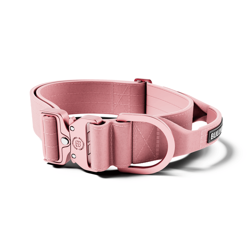 5cm Lighter Combat® Collar | With Handle Secure Clip - Pink x Pink