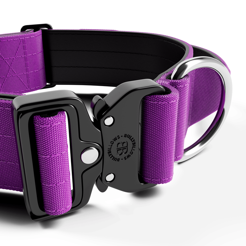 5cm Combat® Collar | With Handle & Secure Clip - Purple