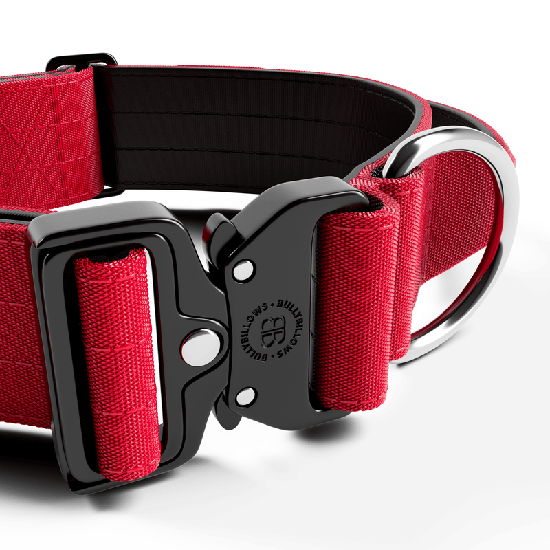 5cm Combat® Collar | With Handle & Secure Clip - Red