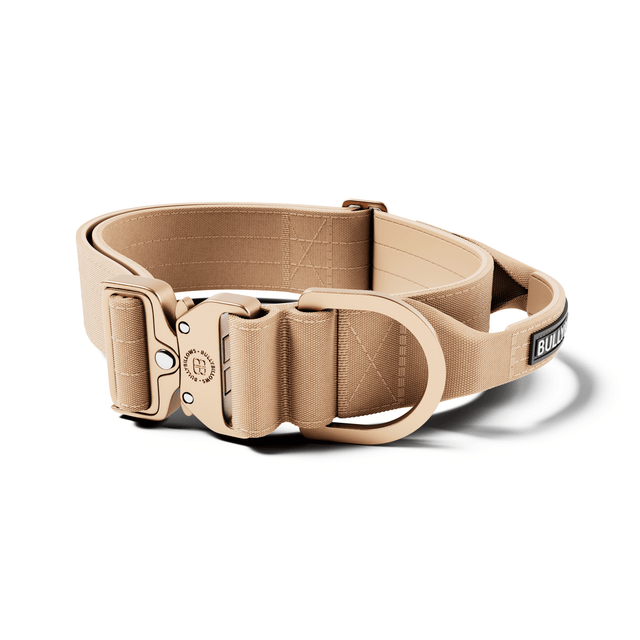 5cm Lighter Combat® Collar | With Handle & Secure Clip