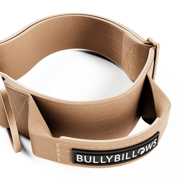 5cm Lighter Combat® Collar | With Handle Secure Clip - Tan x Tan
