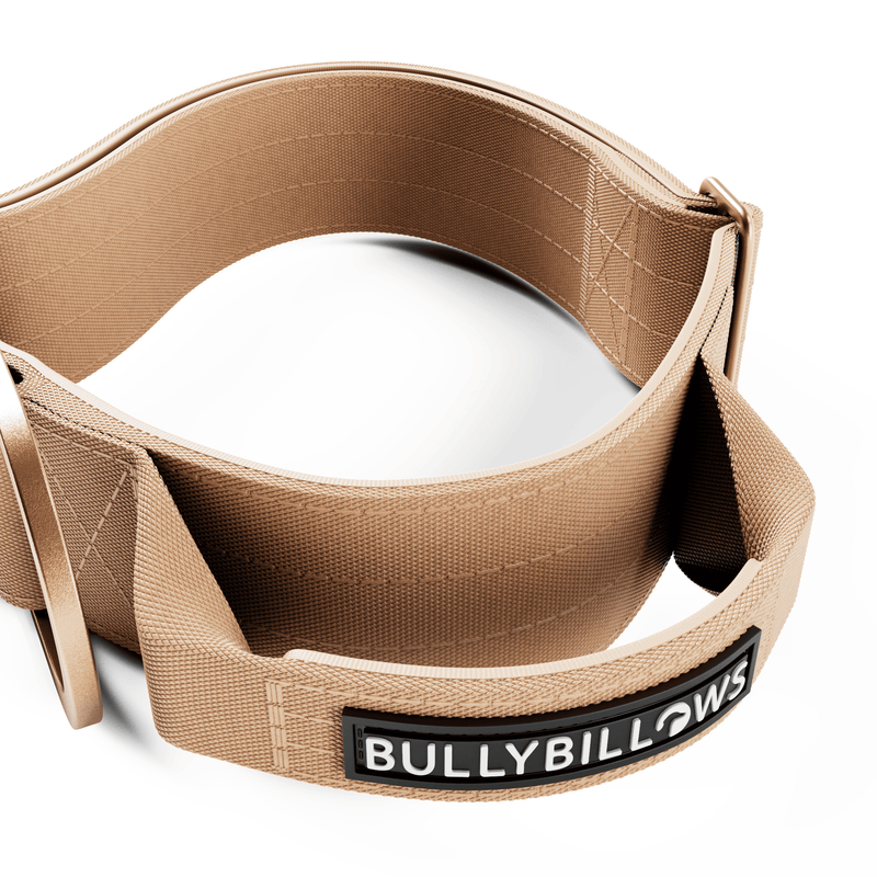5cm Lighter Combat® Collar | With Handle Secure Clip - Tan x Tan