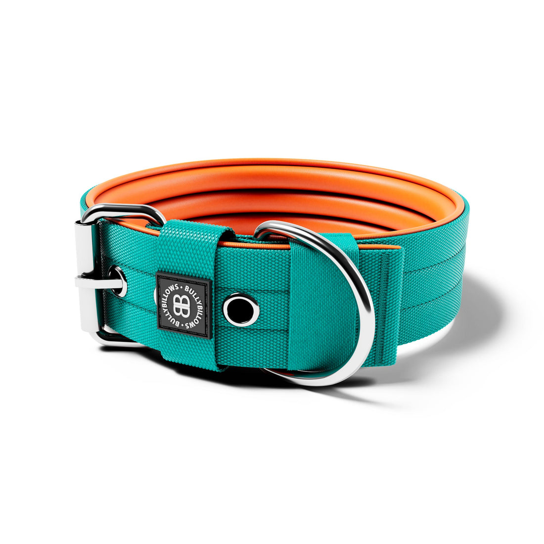featured image of 5cm Nylon Dog Collar | No Handle - Turquoise & Orange