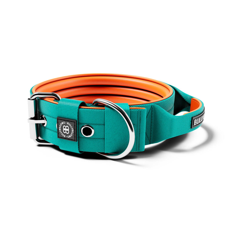 5cm Nylon Dog Collar | With Handle - Turquoise & Orange