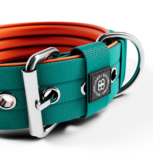 5cm Nylon Dog Collar | With Handle - Turquoise & Orange