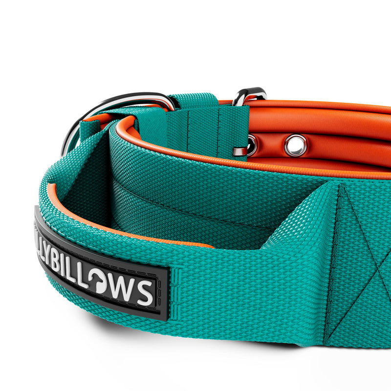 5cm Nylon Dog Collar | With Handle - Turquoise & Orange