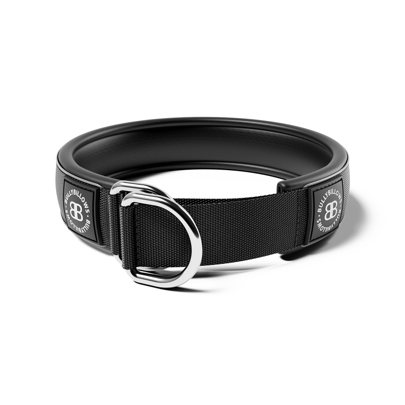 5cm Slip on Collar | Foam Padded - Black – BullyBillows