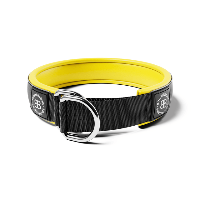 5cm Slip on Collar | Foam Padded - Black x Yellow