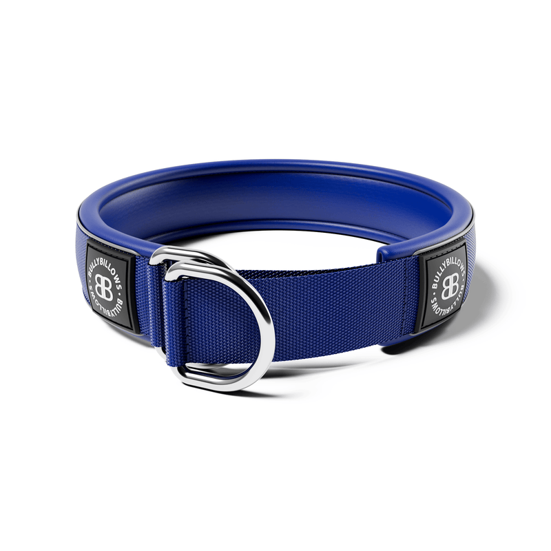 5cm Slip on Collar | Foam Padded - Blue