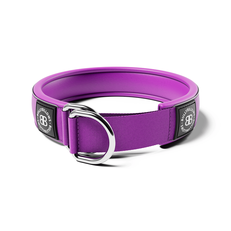5cm Slip on Collar | Foam Padded - Purple