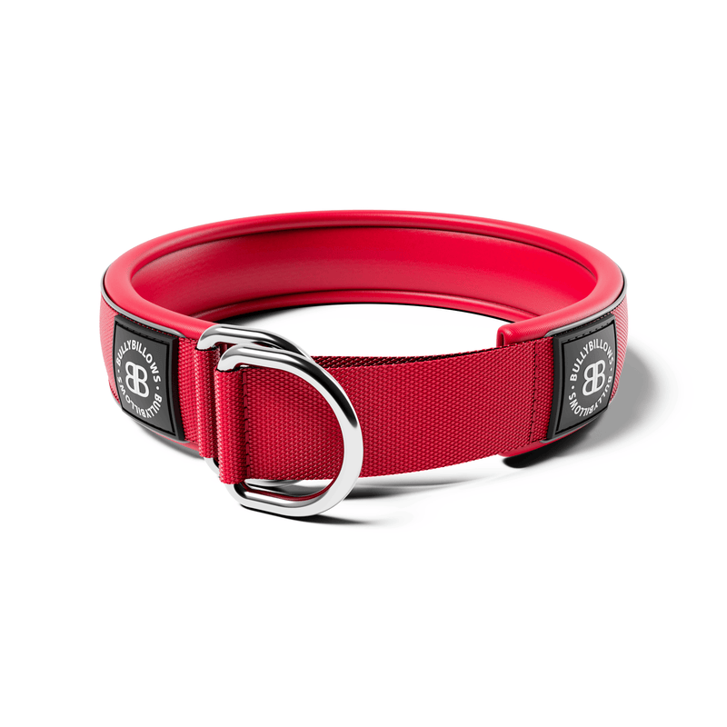 5cm Slip on Collar | Foam Padded - Red