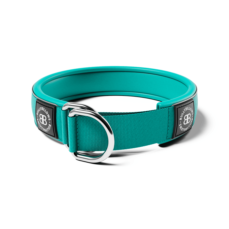 5cm Slip on Collar | Foam Padded - Turquoise