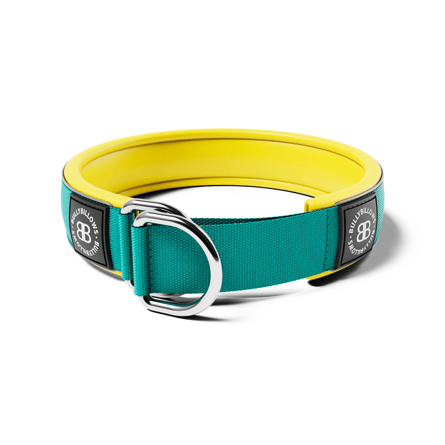 Slip Collars | Martingale Collars for Dogs BullyBillows Slip Collars | Martingale Collars for Dogs BullyBillows