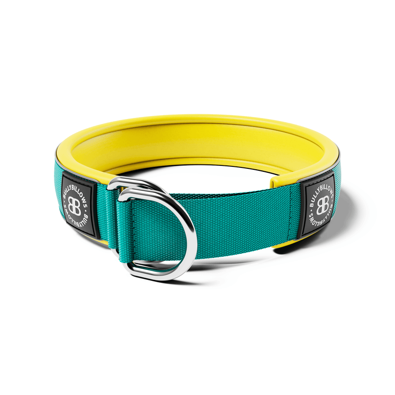 5cm Slip on Collar | Foam Padded - Turquoise x Yellow