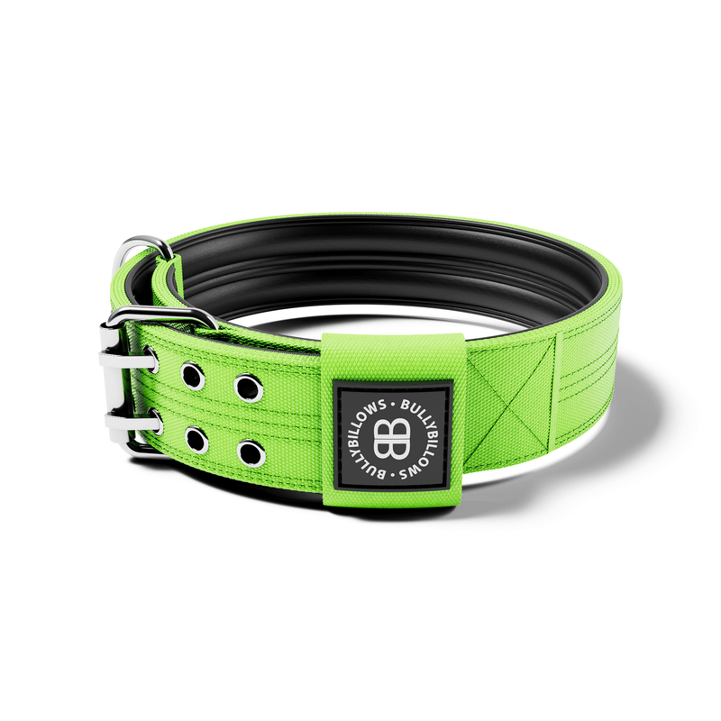 5cm Sporting Collar No Handle Neon