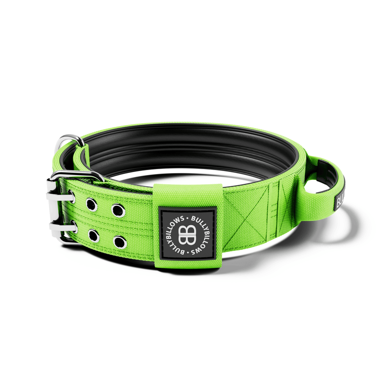 5cm Sporting Collar With Handle Neon