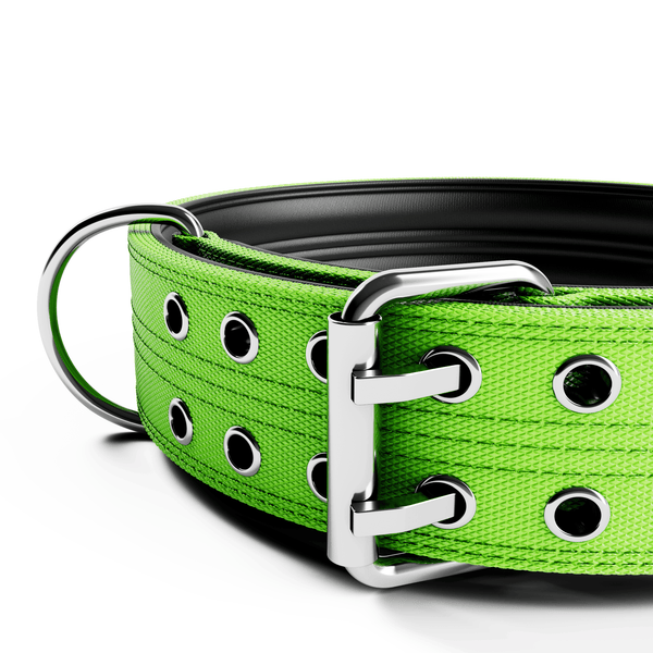5cm Sporting Collar No Handle Neon