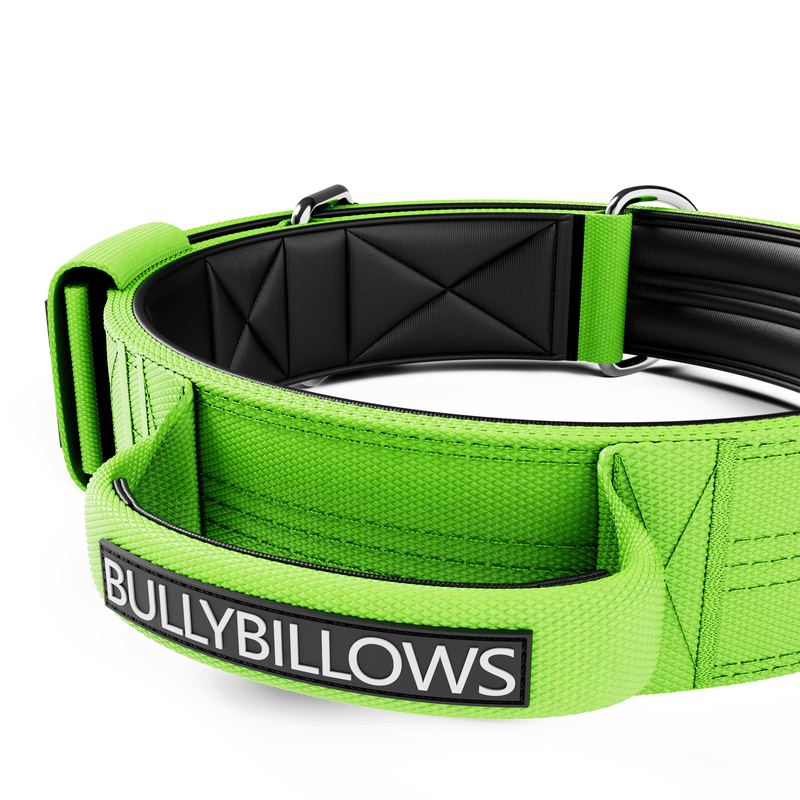 5cm Sporting Collar With Handle Neon